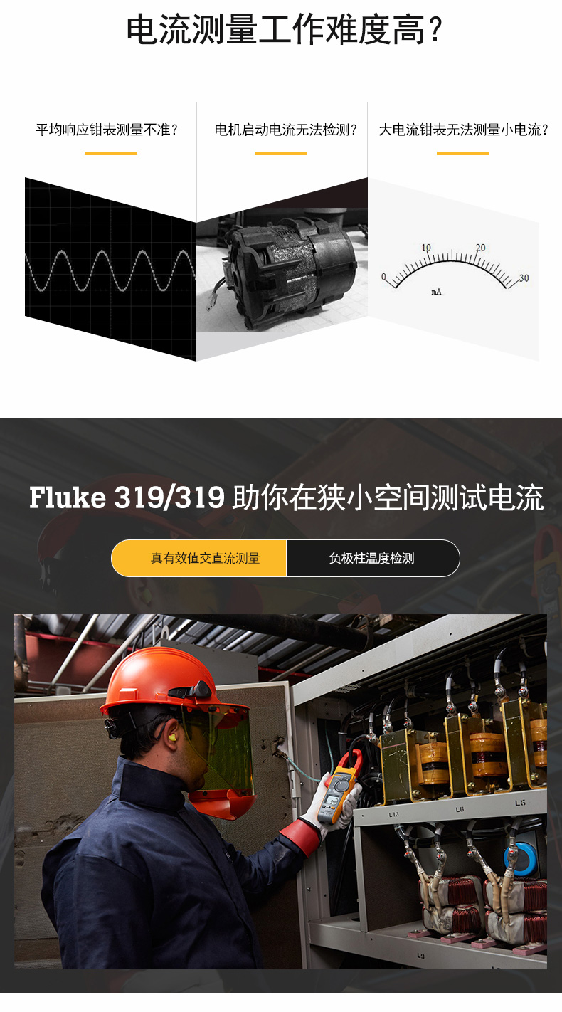 FLUKE F319 钳型电流表